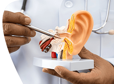 Ears, Nose & Throat (ENT)