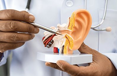 Ears, Nose & Throat (ENT)