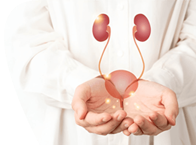Nephrology