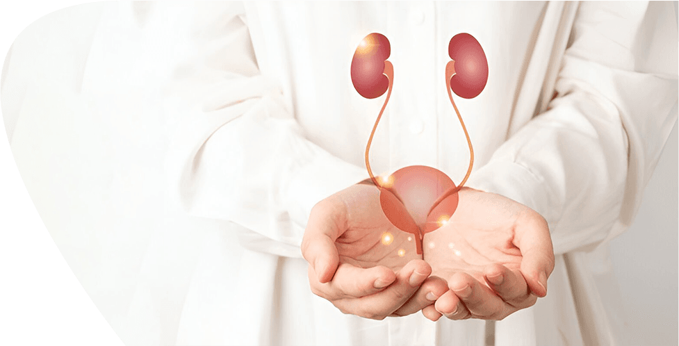 Nephrology
