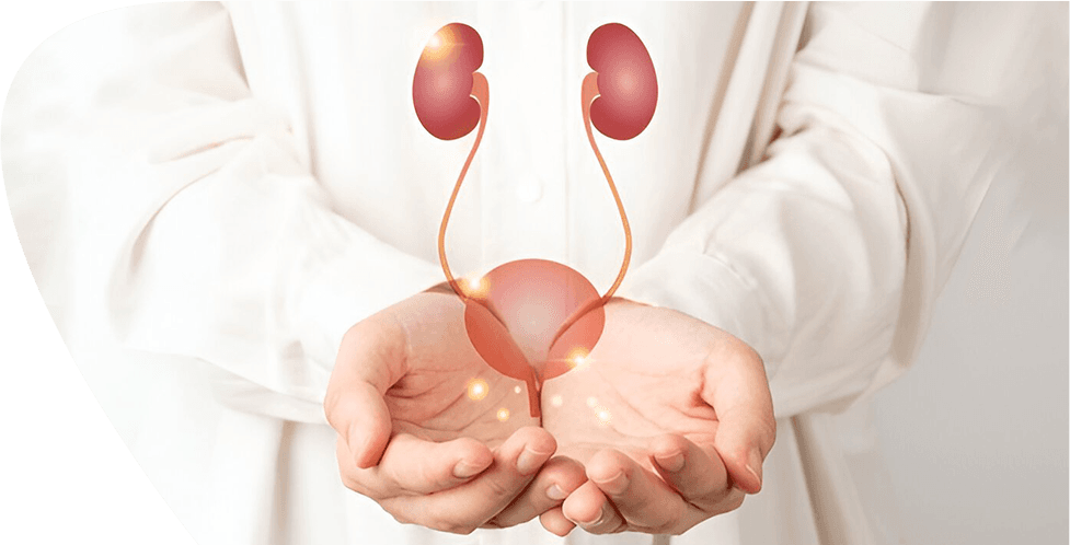 Urology