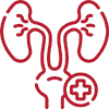 Urology
