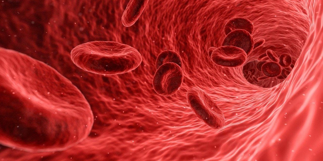 Bleeding Wound: Top 10 Fastest Remedies to Cure Your Bleeding Wounds