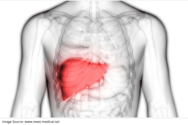 Liver & Liver Diseases: Know the Facts