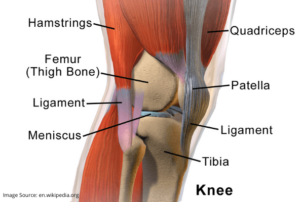 Is Arthroscopic Knee Surgery Useful