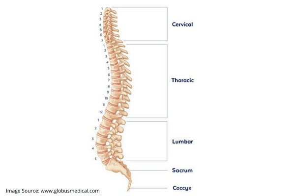 Exercises For Recovery After Spinal Surgery