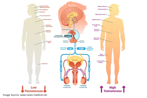 Natural Testosterone Replacement Therapy