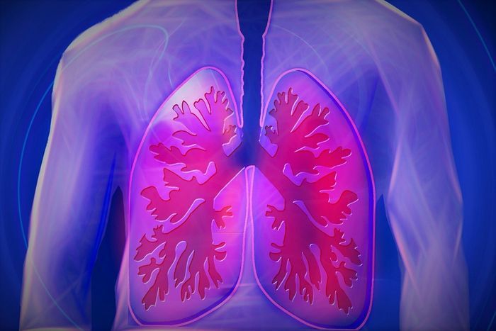 Humidity and Lung Diseases